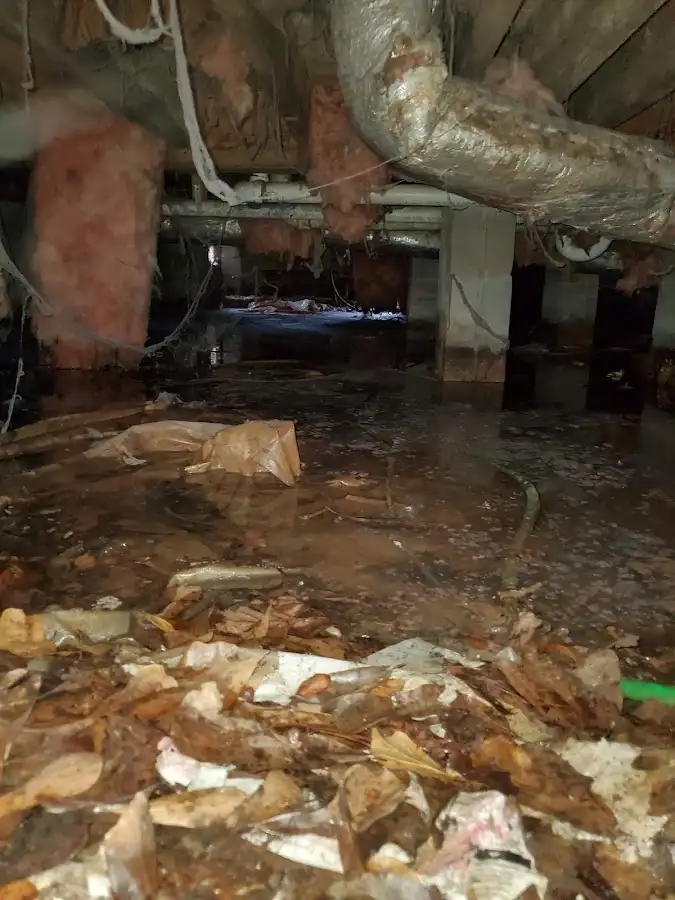 Crawl space flood assessment for Leak Detection & Repair in Arizona City